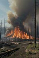 The ecological impact of a wildfire in a forest. photo