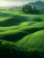 Green tea field on mountain, Generative AI Illustration. photo