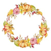 Autumn Thanksgiving Frame with Watercolor Pumpkins and greenery, Floral Thanksgiving Wreath. Fall floral frame with Pumpkins, Berries and Leaves vector
