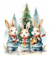 Cute group of Christmas rabbits photo