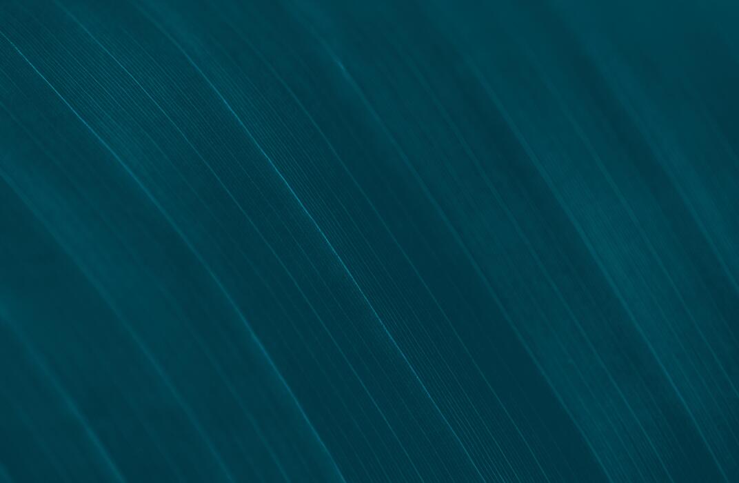 Linkedin Background Stock Photos, Images and Backgrounds for Free Download