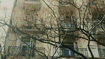 Old European apartment house with bare trees in front video