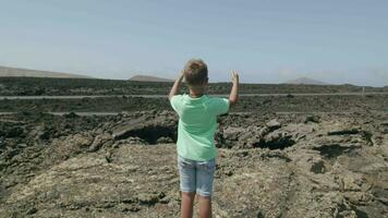 sensación el libertad y emoción con vasto único naturaleza video