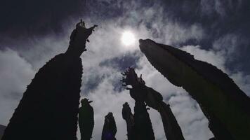 lapso de tiempo de skyscape terminado el cactus video