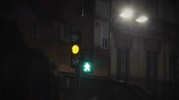 pedestres caminhando através a rua às verde tráfego luzes, noite Visão dentro a chuva video