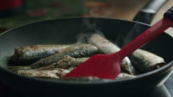 apetitoso frito sardinas en el caliente pan video