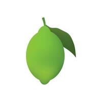 Green Lemon Illustration On White Background vector