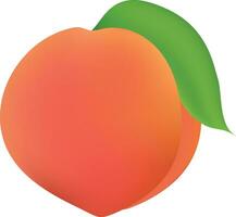 Peach Illustration On White Background vector