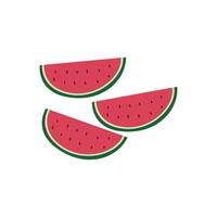 Watermelon Illustration On White Background vector