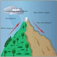 clima sistema movimiento esquema. diagrama con barlovento y sotavento lado. predominante vientos, precipitación y condensando agua vapor fenómenos orográficos efecto . lluvia sombra región.precipitación. vector