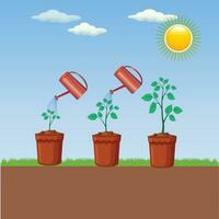 Plant watering is the essential practice of providing plants with the right amount of water to maintain their health, growth, and hydration. vector