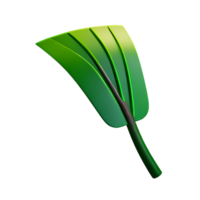 Palme Blatt 3d Rendern Symbol Illustration png