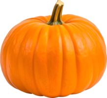 pumkin frukt Skära ut realistisk png, ai genererad png