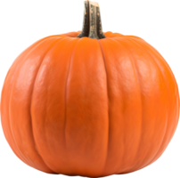 pumkin frukt Skära ut realistisk png, ai genererad png