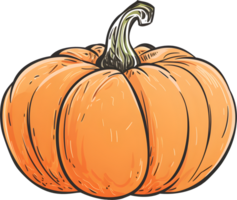 Autumn Thanksgiving pumpkin decoration, PNG file no background, AI generated