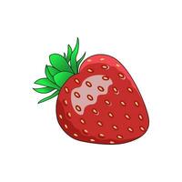 Strawberry vector smooth color with gradation