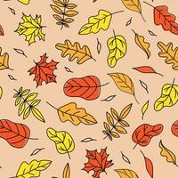 Autumn leaves. Set pattern, background with leaves. Leaf fall. Drawings in doodle style. Color vector illustration, seamless background.