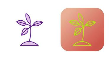 Plant Vector Icon