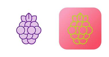 Raspberry Vector Icon