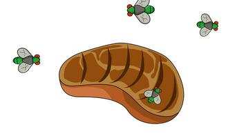 animazione di un' bistecca circondato di mosche video
