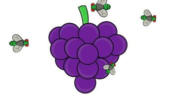 animated video of grapes being surrounded by flies