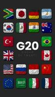 grupo de veinte, g20 todas país miembro bandera sin costura bucle, vertical estado video, 3d representación video