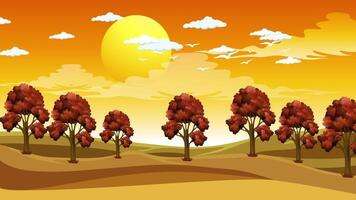 cartoon trees in the field with sunset video