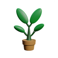 bush 3d rendering icon illustration png