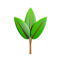 tropical leaves 3d rendering icon illustration png