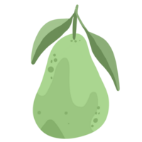 pomelo viniendo en lluvioso temporada tener verde color. png