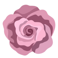 rosa reste sig element. png