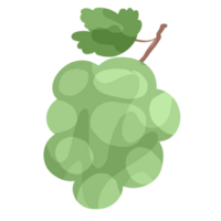 Green grape fresh fruit from Thailand. png