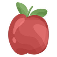 manzana son bueno fuente de fibra y vitamina C ilustraciones. png