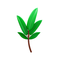 palm leaf 3d rendering icon illustration png