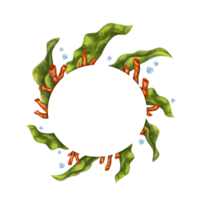 un' luminosa composizione con un' circolare subacqueo mondo. rosso coralli e alga marina. per stampa, adesivi, manifesti, cartoline, stampe, souvenir. digitale illustrazione png