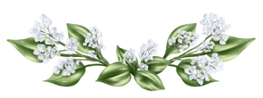 elegant horisontell sammansättning av grön löv och torkades dekorativ blommor och Gypsophila i vattenfärg stil. digital illustration. för inbjudningar, tacksamhet eller hälsning kort png