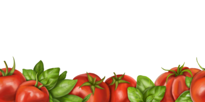 Horizontal rectangular border, frame of red ripe tomatoes of different varieties and green basil leaves. Digital illustration of vegetables. For packaging design, postcards, prints png