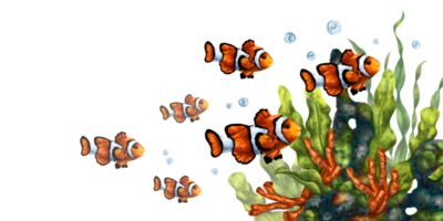 A bright composition with an underwater world. Red coral, seaweed, tropical clown fish. Digital illustration. For printing, stickers, posters, postcards, prints png