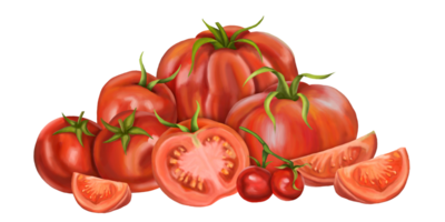 A large composition of red ripe tomatoes of different varieties. Slices, halves, cherry tomatoes. Digital illustration. For packaging design, postcards, prints, textiles png