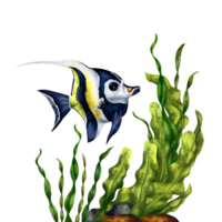 marino composizione con tropicale pesce è un' moresco idolo tra il subacqueo mondo. digitale isolato illustrazione. per manifesti, stampe, cartoline, souvenir, adesivi png