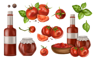 Vegetable set of ripe red tomatoes, basil leaves, pepper, glass bottles with red sauce. Farmer's harvest from the garden of organic plants. Fresh food for healthy diet. Digital isolated illustration png