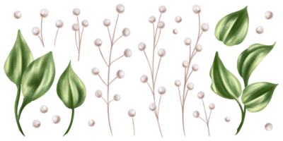 A set of green rose leaves and dried decorative flowers in watercolor style. Digital illustration. For invitations, date saving, gratitude or greeting card png