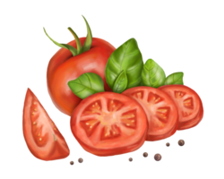 A composition of fresh red tomatoes, ripe basil leaves and black pepper. Slices, triangular slices. Digital illustration. For packaging, postcards, prints, banners, printing. png