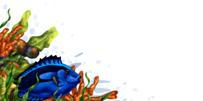 ein hell Komposition mit unter Wasser Leben. rot Koralle, Seetang, tropisch Fisch von königlich Blau Farbe. tropisch wild Welt. Marine rahmen, Internatsschüler. Digital isoliert Illustration png