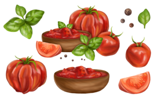 Vegetable set of ripe red tomatoes, basil leaves, pepper, a plate with red sauce. Farmer's harvest from the garden of useful organic plants. Fresh food for healthy diet. Digital isolated illustration png