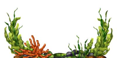 A bright composition with an underwater world. Red coral, seaweed and stone rock. Digital illustration. For printing, stickers, posters, postcards, prints png