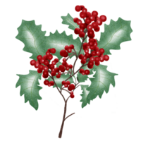 Christmas berry and wreath png