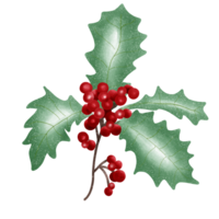 Christmas berry and wreath png