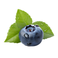 Fresh blueberry with leaves isolated on transparent background. Generative AI png