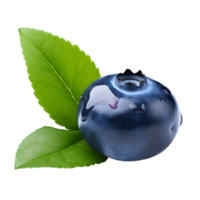 Fresh blueberry with leaves isolated on transparent background. Generative AI png